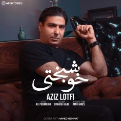 دانلود آهنگ عزیز لطفی خوشبختی با کیفیت 320